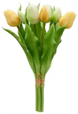 Mömax Deko-Tulpenbund Angebot