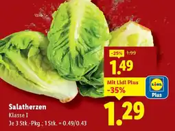 Lidl Salatherzen Angebot