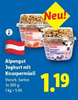 Lidl Joghurt mit Knuspermüsli Angebot