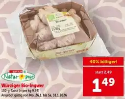 Interspar Bio-Ingwer Angebot