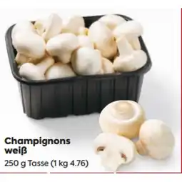 Billa Champignons weiß BILLA Angebot