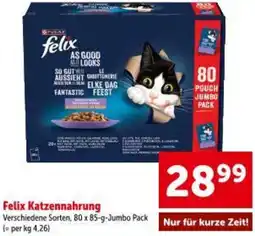 Interspar Felix Katzennahrung Angebot