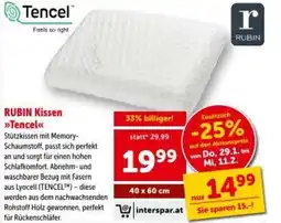 Interspar RUBIN Kissen >>Tencel Angebot