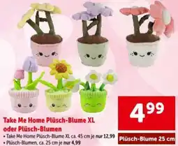 Interspar Take Me Home Plüsch-Blume XL oder Plüsch-Blumen Angebot