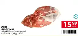 Transgourmet Lamm keule femur Angebot