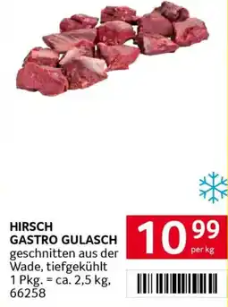 Transgourmet Hirsch gastro gulasch Angebot