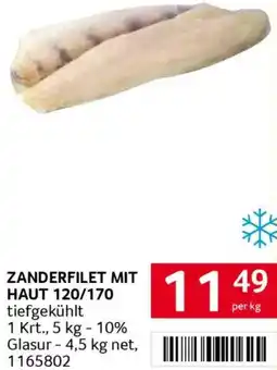 Transgourmet Zanderfilet mit haut Angebot