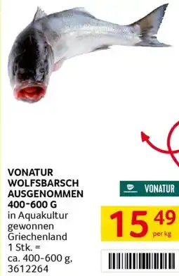 Transgourmet Wolfsbarsch ausgenommen Angebot