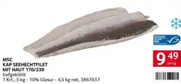 Transgourmet Msc kap seehechtfilet mit haut 170/230 Angebot