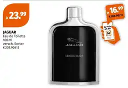Müller Jaguar eau de toilette Angebot