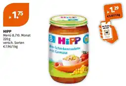 Müller Hipp Angebot