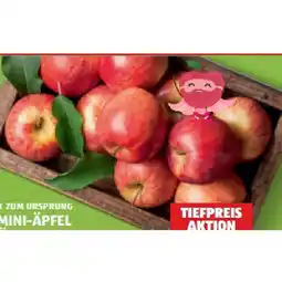 Hofer Bio-Mini-Äpfel aus Österreich HOFER Angebot