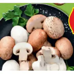Hofer Champignons weiß oder braun HOFER Angebot