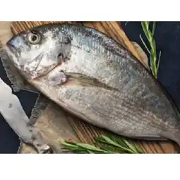 Hofer Dorade HOFER Angebot