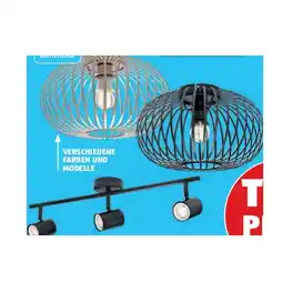 Hofer Deckenleuchte Winter versch. Farben und Modelle HOFER Angebot