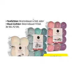 Hofer Tee-/Maxi-Lichter mit Duft verschiedene Duftrichtungen HOFER Angebot