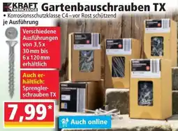 Norma KRAFT Gartenbauschrauben TX Angebot