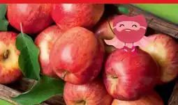 Hofer Zurück zum Ursprung Bio-Mini-Äpfel Angebot