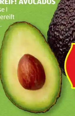 Hofer Hofer Marktplatz Iss Reif! Avocados Angebot