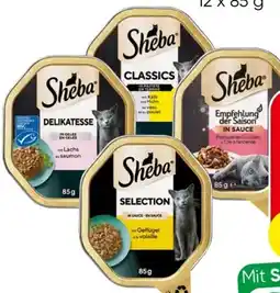 Spar Sheba Katzenfutter-Schale Angebot