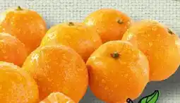 Spar Spar Natur pur Bio-Mandarinen Angebot