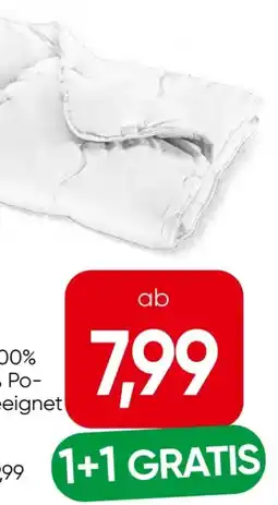 Eurospar S Budget Polster Angebot