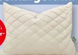 Interspar Fan Frankenstolz Polster Lama Angebot