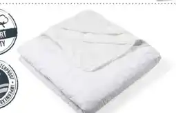 Interspar Rubin Bettschutzeinlage Angebot