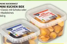 Hofer Meine Kuchenwelt Mini Kuchen Box Angebot