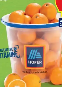 Hofer Hofer Marktplatz Orangen Angebot