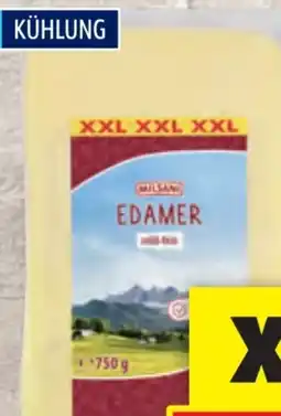 Hofer Milsani Edamer Angebot