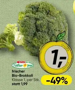 Spar frischer Bio-Brokkoli Angebot