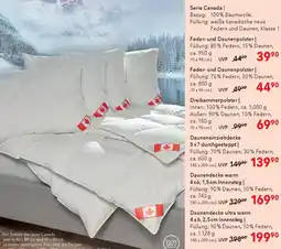 Matratzen Concord Serie Canada Dreikammerpolster Angebot