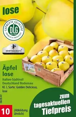 Norma Äpfel lose Angebot