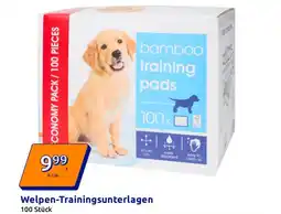 Action Welpen-Trainingsunterlagen Angebot