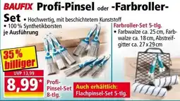 Norma Profi-Pinsel oder -Farbroller- Angebot
