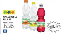 Metro Waldquelle Angebot