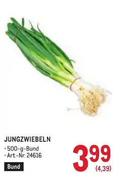 Metro Jungzwiebeln Angebot