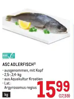Metro Asc adlerfisch Angebot
