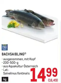 Metro Bachsaibling Angebot