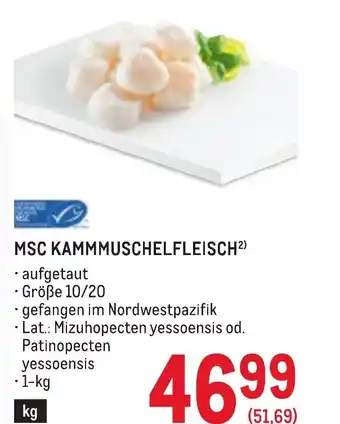 Metro Msc kammmuschelfleisch Angebot