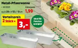 Thomas Philipps Metall-Pflanzwanne Angebot