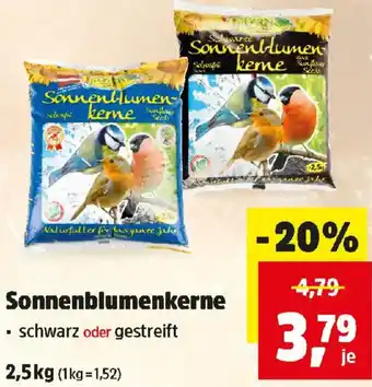 Sonnenblumenkerne
