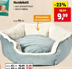 Thomas Philipps Hundebett Angebot