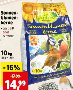 Thomas Philipps Sonnen blumen kerne Angebot