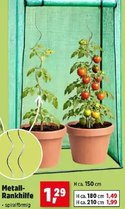 Thomas Philipps Metall Rankhilfe Angebot