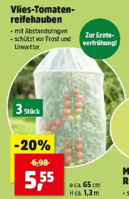 Thomas Philipps Vlies Tomaten reifehauben Angebot
