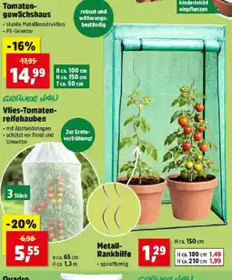 Thomas Philipps Tomaten gewächshaus Angebot