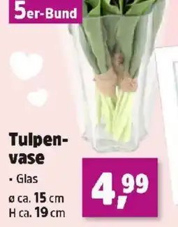 Thomas Philipps Tulpen vase Angebot