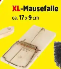 Thomas Philipps Xl mausefalle Angebot
